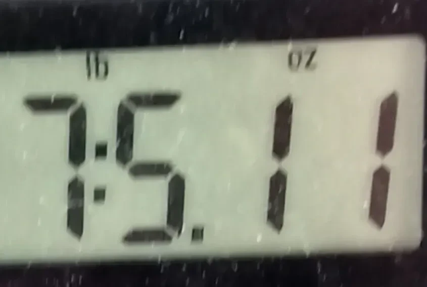 Изображение №9