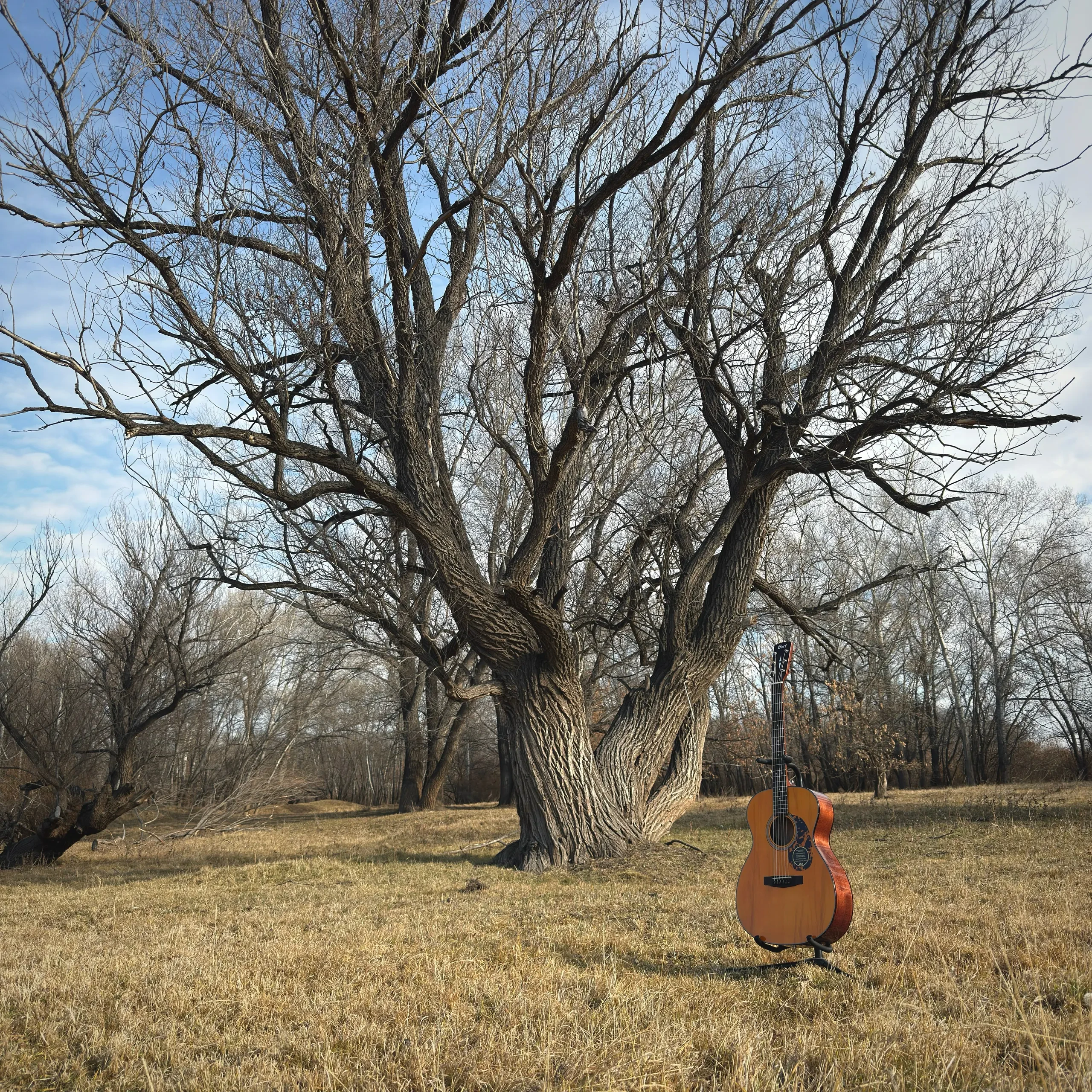 Изображение №5