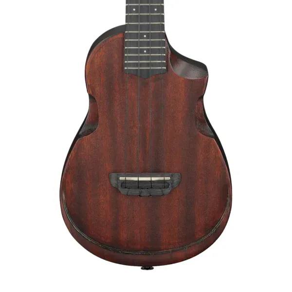 Ibanez AUC14OVL Concert Ukulele, Sapele top, Violin Sunburst