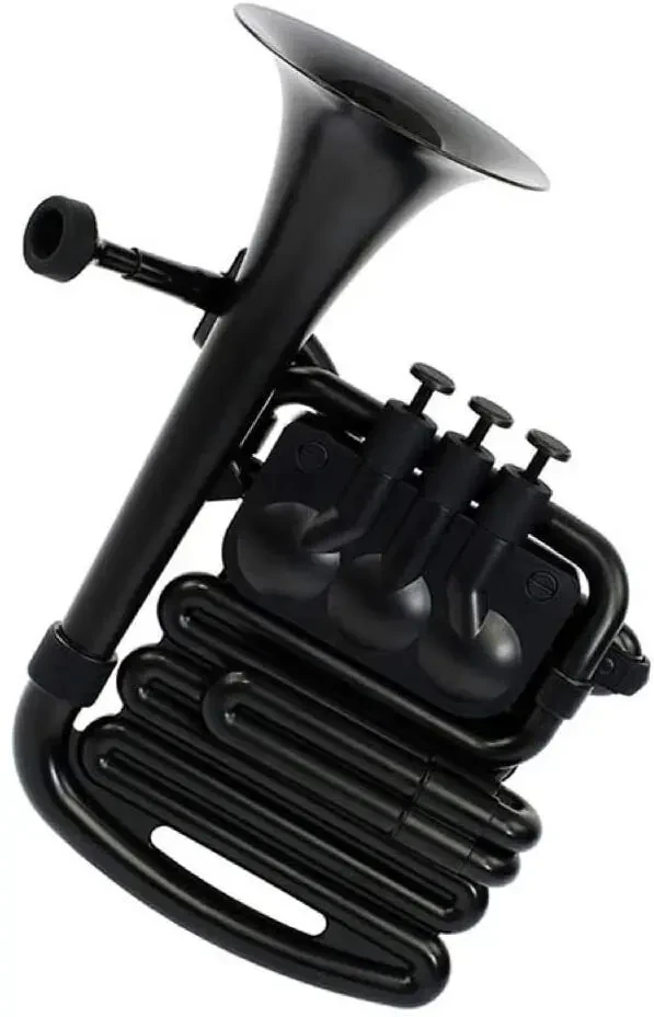 Валторна Nuvo jHorn Black Bb