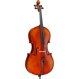 Виолончель Ren Wei Shi Model 8000 Cello Only