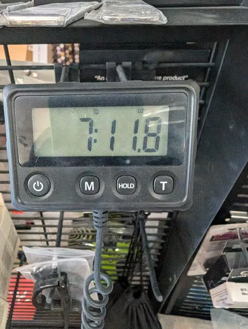 Изображение №12