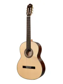 Классическая гитара TESORO TS3950