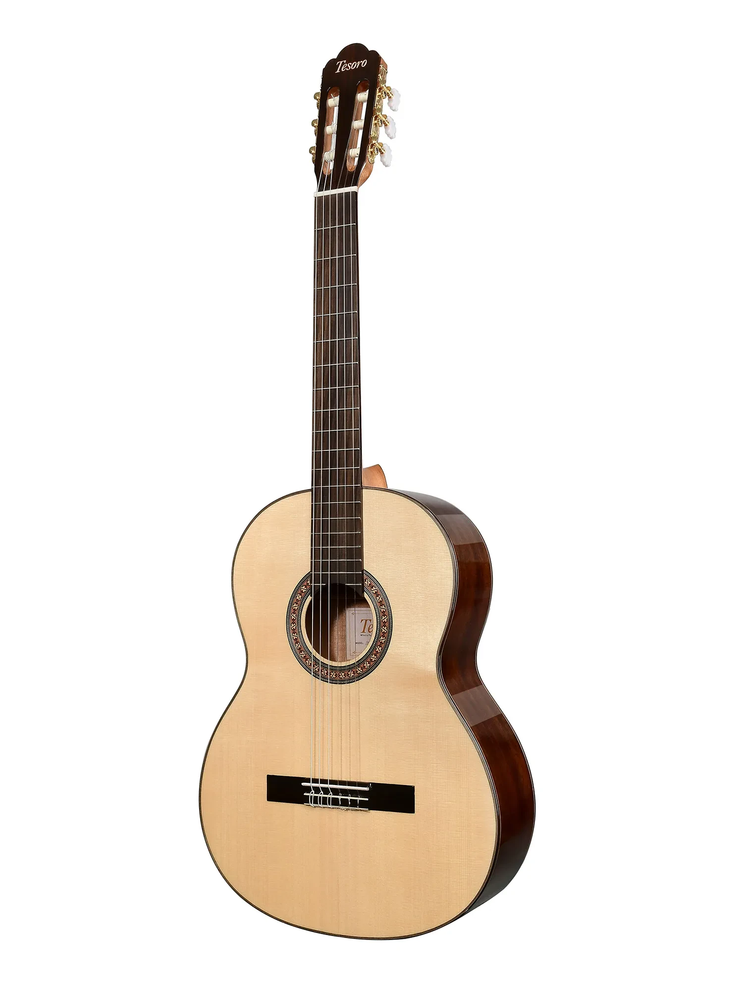 Классическая гитара TESORO TS3950