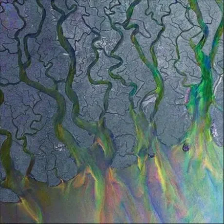 ALT-J - An Awesome Wave (CD)