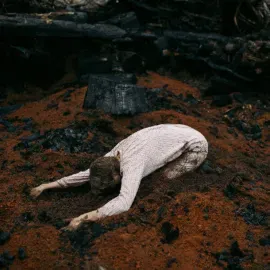 Виниловая пластинка Hannah Frances – Keeper Of The Shepherd (Релиз 2024)