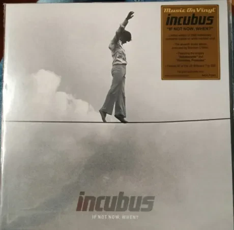 Виниловая пластинка Incubus – If Not Now, When?