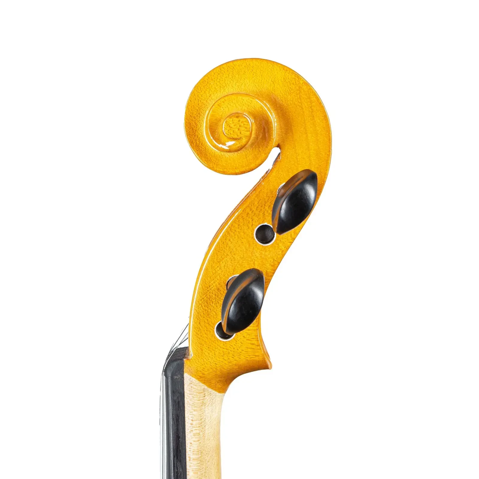 Изображение №7