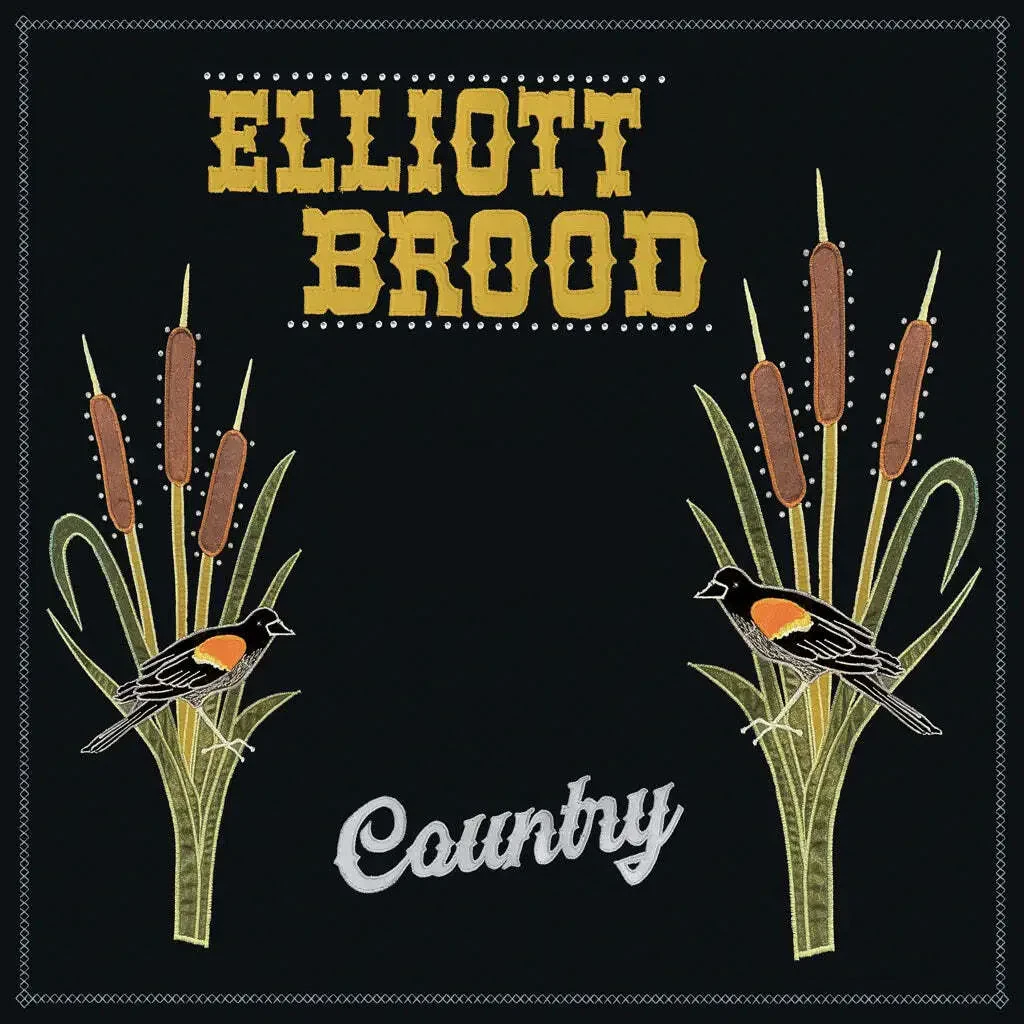 Виниловая пластинка Elliott Brood – Country 2024