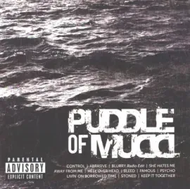 CD-диск PUDDLE OF MUDD – Icon