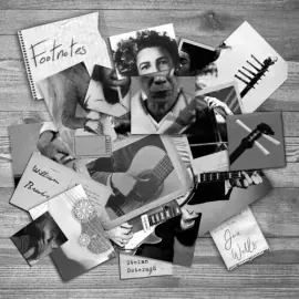 Виниловая пластинка Stefan Ostersjo - Footnotes [New Vinyl LP]
