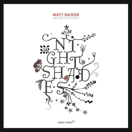 CD-диск MATT BAUDER – And Day In Pictures