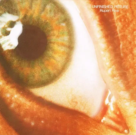 RUPERT HINE - Unfinished Picture (LP , Used)