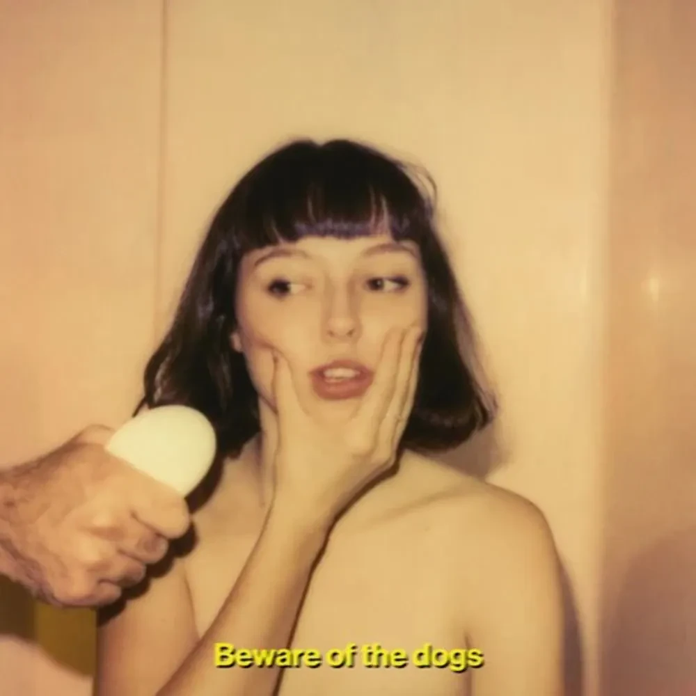 Stella Donnelly - Beware Of The Dogs NEW Sealed Vinyl