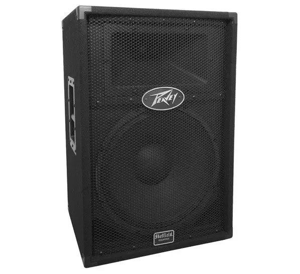 Акустическая система PEAVEY PV1015