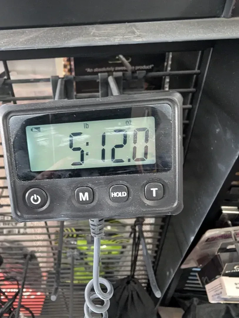 Изображение №7