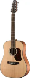 WALDEN D552E Natura 12-string Dreadnought E/A