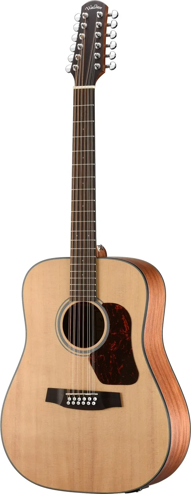 WALDEN D552E Natura 12-string Dreadnought E/A