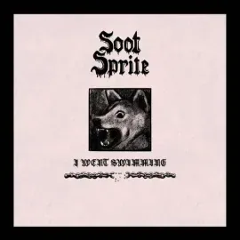 Виниловая пластинка Soot Sprite – I Went Swimming / Home Among Your Bones (Релиз 2024)