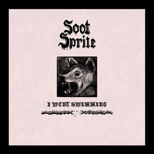 Виниловая пластинка Soot Sprite – I Went Swimming / Home Among Your Bones (Релиз 2024)