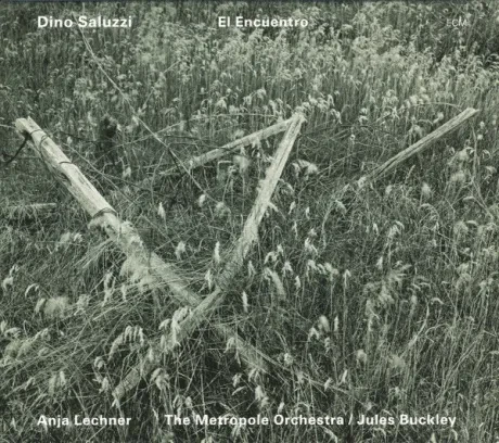 DINO SALUZZI - El Encuentro (CD)