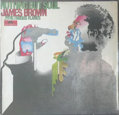 JAMES BROWN - James Brown Plays Nothing But Soul (LP , Used)