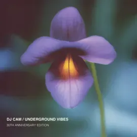DJ Cam - Underground Vibes (30th Anniversary) NEW Sealed Vinyl LP