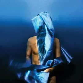 Виниловая пластинка Devendra Banhart – Flying Wig Релиз 2023 Sealed