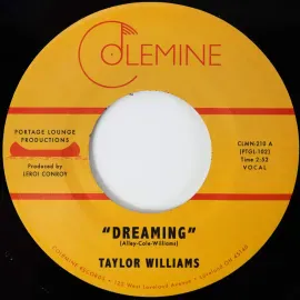 Виниловая пластинка Taylor Williams &ndash; Dreaming / What About Me? Релиз 2025