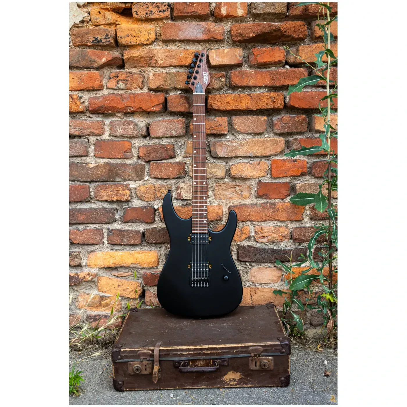 Изображение №14