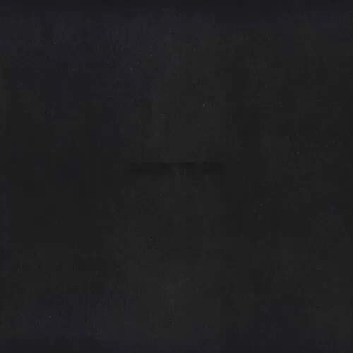 Виниловая пластинка Vince Staples - Dark Times [New Vinyl LP] Explicit