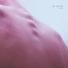 Виниловая пластинка Wax Chattels – Clot Sealed