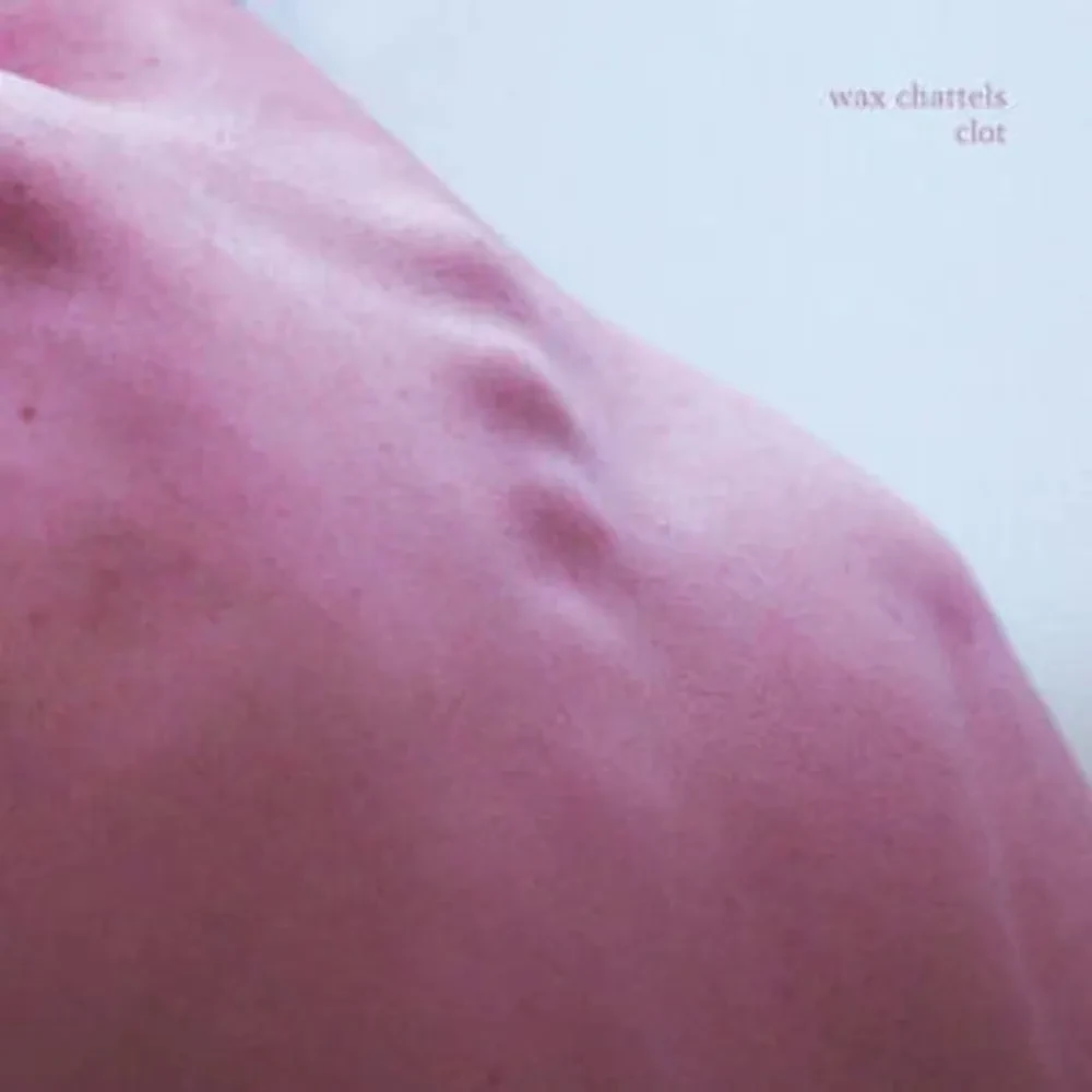 Виниловая пластинка Wax Chattels – Clot Sealed