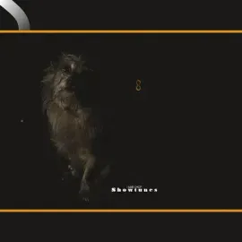 Виниловая пластинка Lambchop - Showtunes [New Vinyl LP] Gatefold LP Jacket, Digital Download