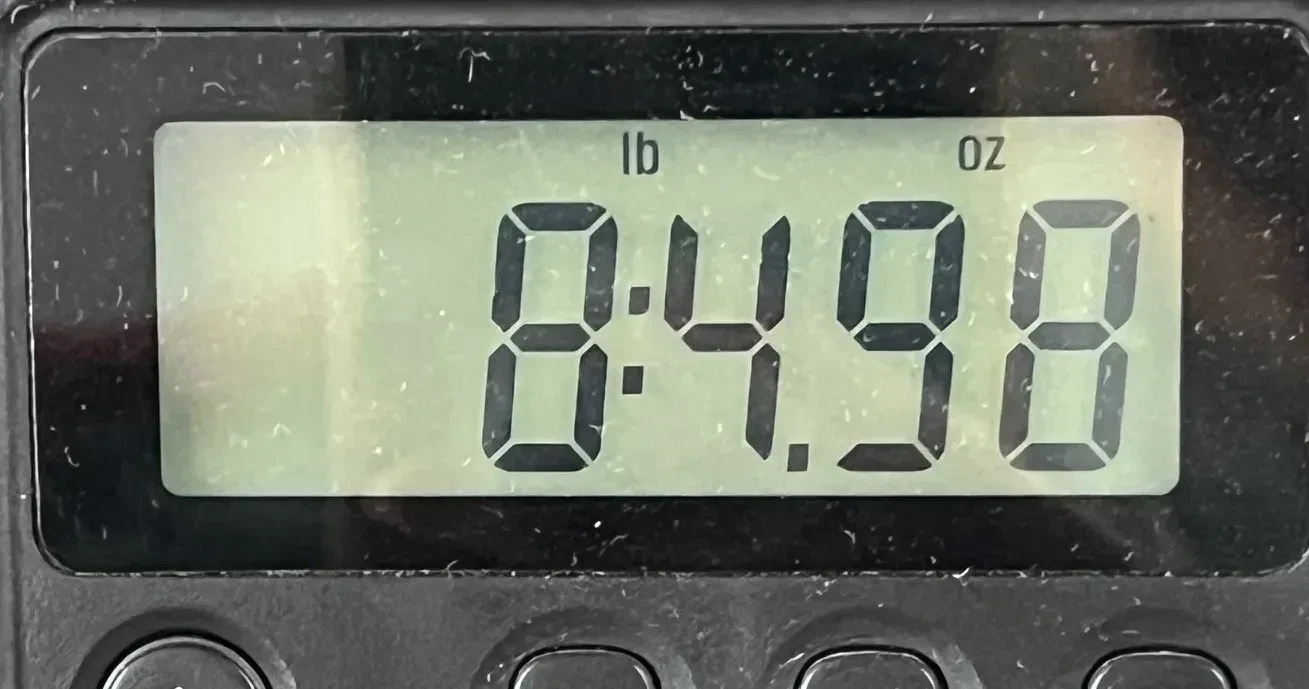 Изображение №9