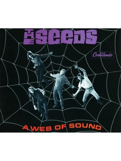 THE SEEDS - A Web Of Sound (2CD)