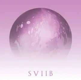 Виниловая пластинка School of Seven Bells - SVIIB [New Vinyl LP] Ltd Ed