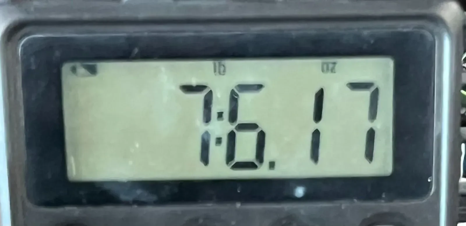 Изображение №7