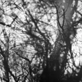 Виниловая пластинка Grouper – Way Their Crept