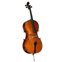 Виолончель Strunal 4/17C-4/4