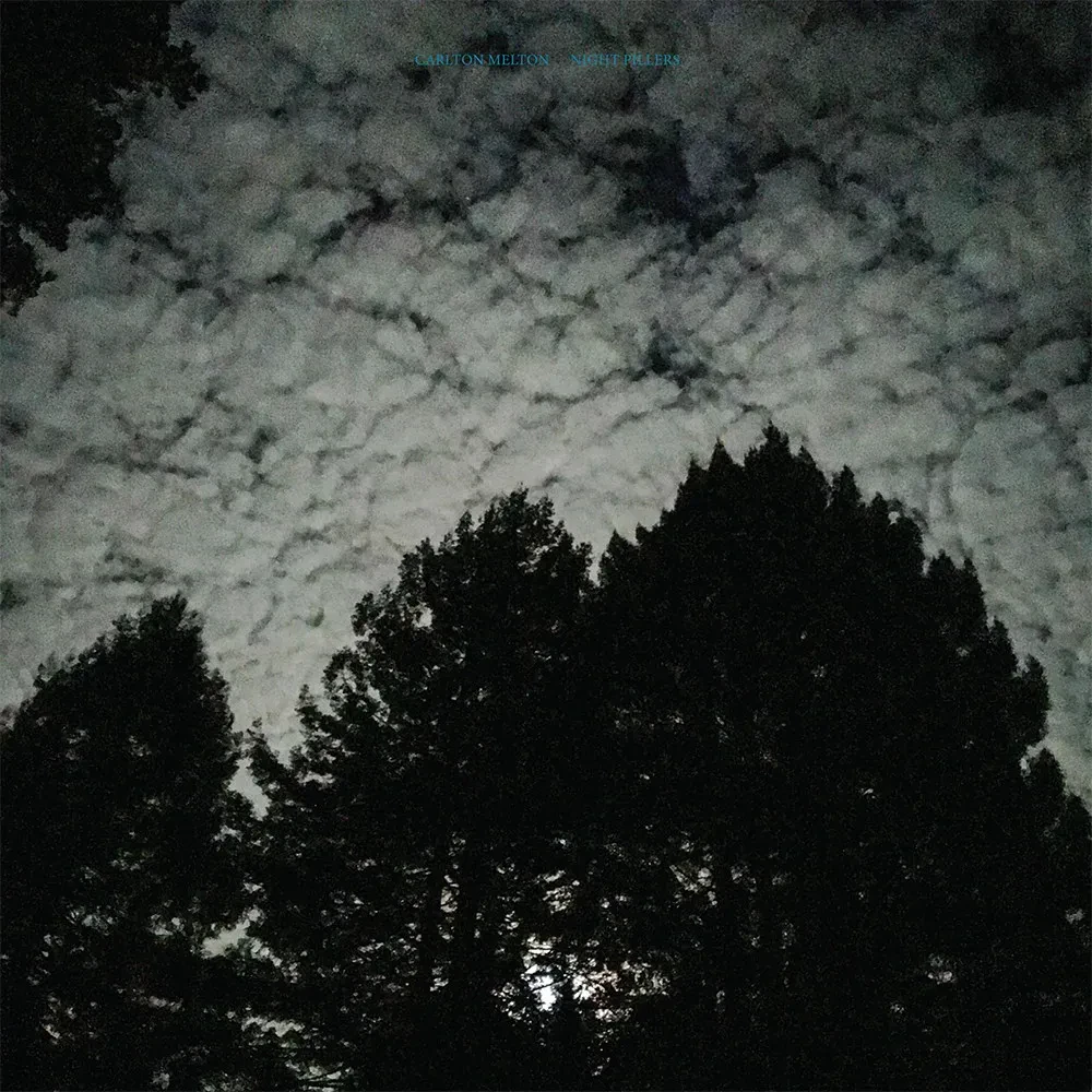 Виниловая пластинка Carlton Melton – Night Pillers (Релиз 2021) Sealed