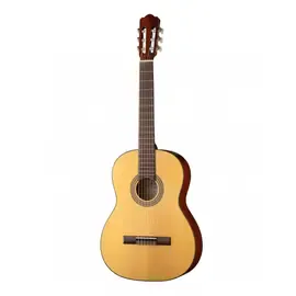 Классическая гитара Hora N1010-4/4 Spanish