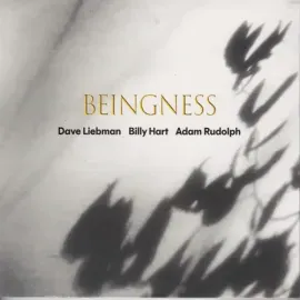 Виниловая пластинка Dave Leibman - Beingness [New Vinyl LP] Colored Vinyl, Ltd Ed, 180 Gram
