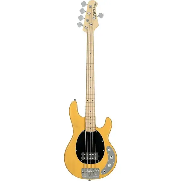 Бас-гитара Sterling by Music Man StingRay5 Classic Maple FB 5-String Bass Butterscotch