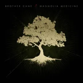 Виниловая пластинка Brother Cane – Magnolia Medicine (Релиз 2026)
