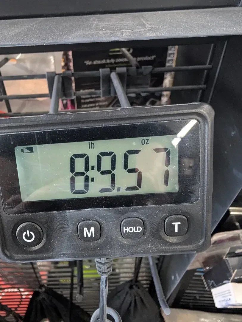 Изображение №7