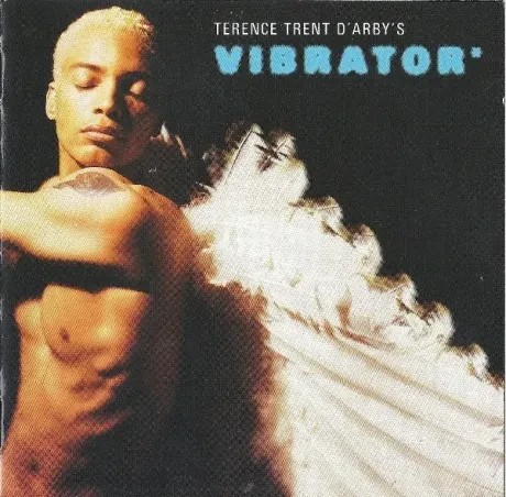 TERENCE TRENT D'ARBY - Terence Trent D'Arby's Vibrator* (CD)
