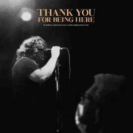 Виниловая пластинка The World Is a Beautiful Place & I Am No Longer Afraid to Die – Thank You For Being Here 2023