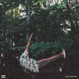 Виниловая пластинка Chester Watson – Fish Don't Climb Trees (Релиз 2023) Sealed