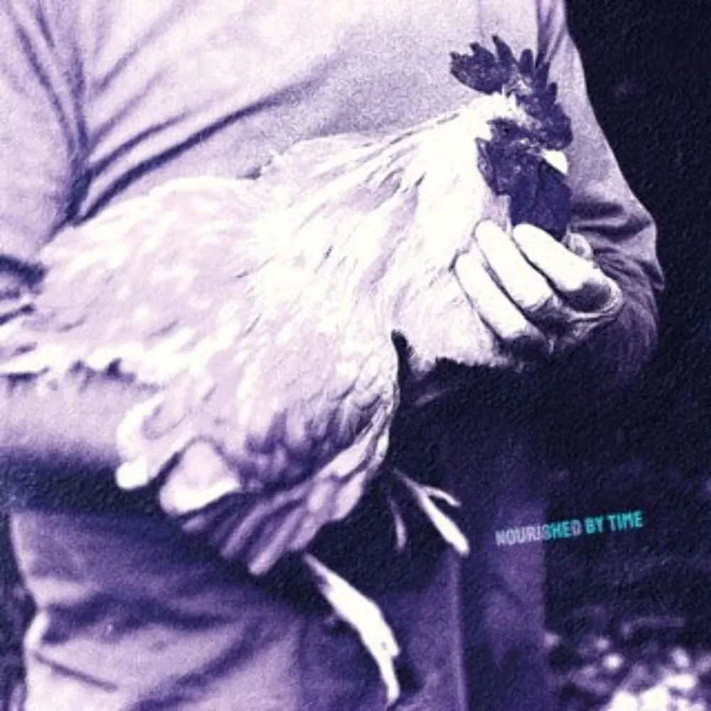 Виниловая пластинка Nourished by Time – Catching Chickens 2024